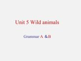 江苏省连云港市东海晶都双语学校八年级英语上册 Unit 5 Wild animals Grammar课件