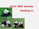 江苏省兴化市昭阳湖初级中学八年级英语上册《Unit 5 Wild animals Reading 1》课件