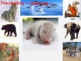 江苏省兴化市昭阳湖初级中学八年级英语上册《Unit 5 Wild animals Reading 1》课件
