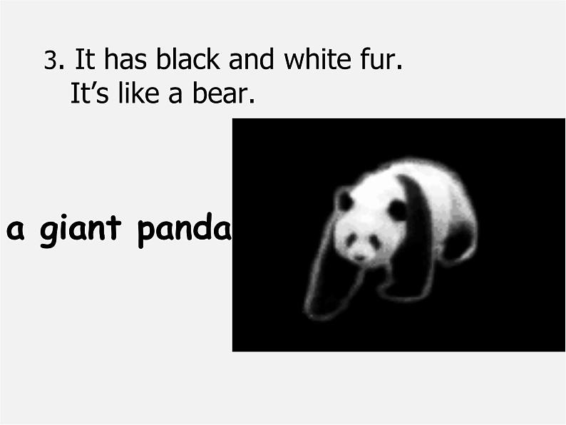 江苏省兴化市昭阳湖初级中学八年级英语上册 Unit 5 Wild animals reading 1课件04