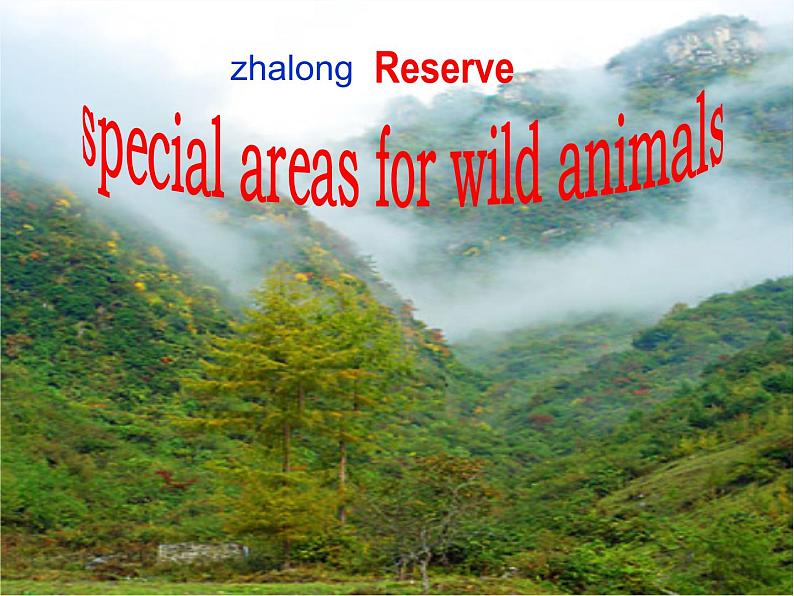 江苏省兴化市昭阳湖初级中学八年级英语上册 Unit 5 Wild animals reading 1课件08