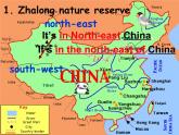 江蘇省永豐初級中學(xué)八年級英語上冊 Unit 6 Bird watching Reading課件2