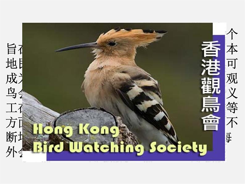 江苏省永丰初级中学八年级英语上册 Unit 6 Bird watching Task课件第6页