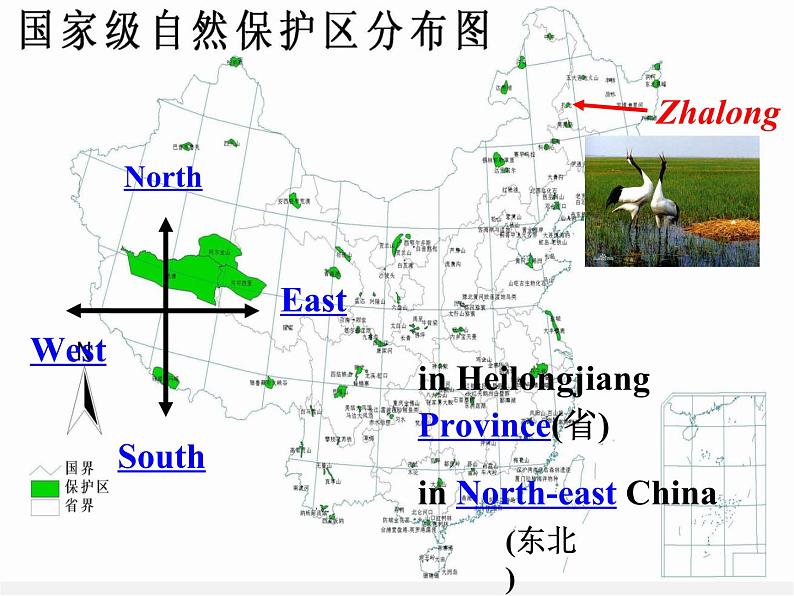 江苏省句容市后白中学八年级英语上册 Unit 6 Bird watching Reading 1课件06