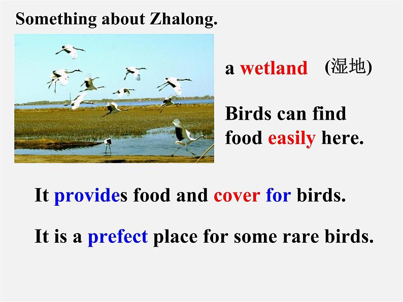 江苏省句容市后白中学八年级英语上册 Unit 6 Bird watching Reading 1课件07