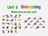 江苏省永丰初级中学八年级英语上册 Unit 6 Bird watching Welcome to the unit课件
