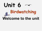 江苏省盱眙县黄花塘初级中学八年级英语上册《Unit 6 Bird watching Welcome to the Unit》课件