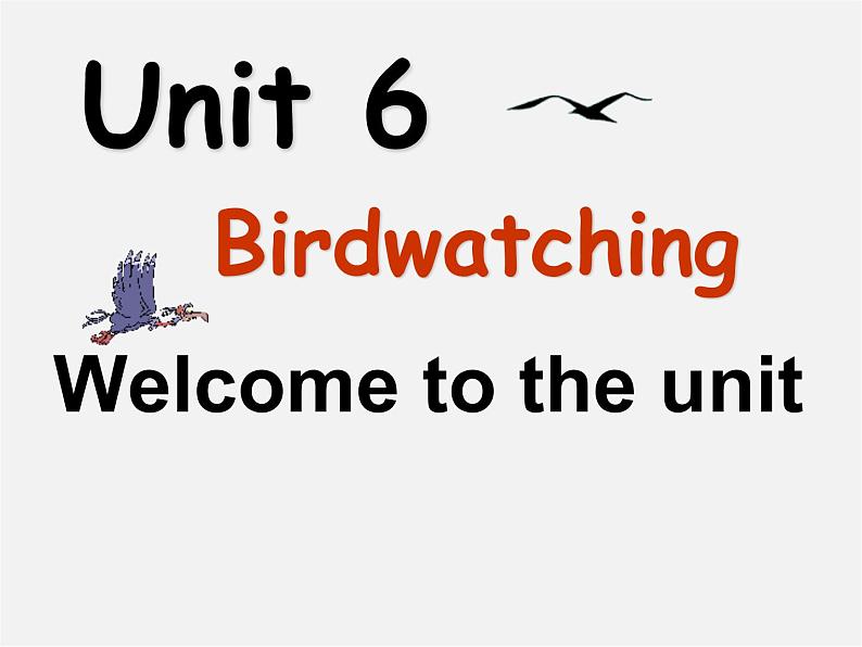 江苏省盱眙县黄花塘初级中学八年级英语上册《Unit 6 Bird watching Welcome to the Unit》课件01