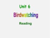 江苏省永丰初级中学八年级英语上册 Unit 6 Bird watching Reading课件1