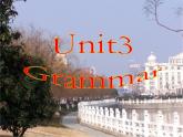 江苏省永丰初级中学八年级英语上册 Unit 3 A day out Grammar课件2