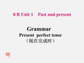 江苏省徐州市睢宁县宁海外国语学校八年级英语下册《Unit 1 Past and Present》Grammar课件