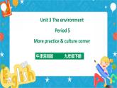 Unit 3 The environment Period 5 more practice & culture corner（课件43张PPT+教案+导学案）
