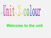 江苏省泗阳县南刘集中学九年级英语上册 Unit 2 Colour Welcome to the Unit课件