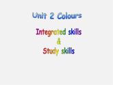 江苏省苏州市高新区第三中学校九年级英语上册《Unit 2 Colour Integrated skills & Study skills》课件