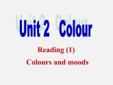 九年级英语上册 Unit 2 Colour Reading课件（1）