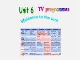 九年级英语上册 Unit 6 TV programmes Welcome to the unit课件
