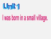 七年级英语下册 Module 7 My past life Unit 1 I was born in a small village.课件