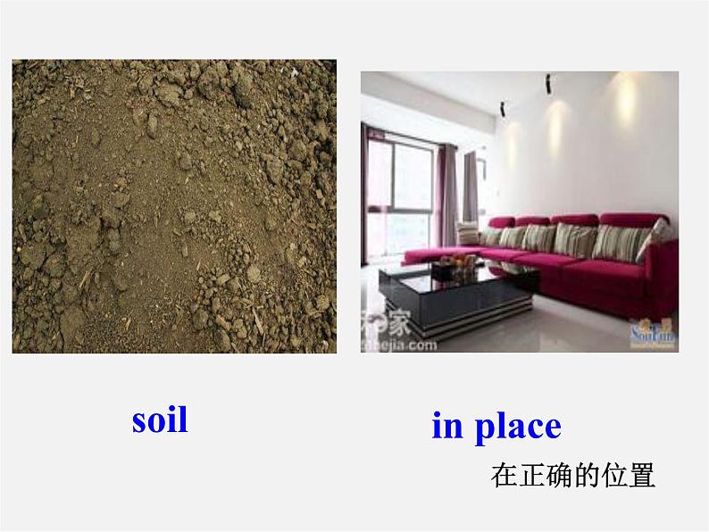 江苏省仪征市月塘中学八年级英语下册 Unit 7 How green are you Integrated skills课件05