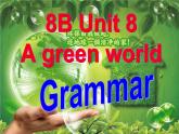 江蘇省溧水縣孔鎮(zhèn)中學(xué)八年級英語下冊 Unit 8 A green world Grammar課件1