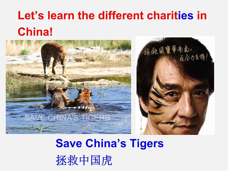 江苏省永丰县初级中学八年级英语下册 Unit 7 International Charities Welcome to the Unit课件第6页