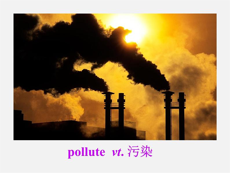 江苏省盐城市永丰初级中学八年级英语下册 Unit 8 A green world Grammar课件04