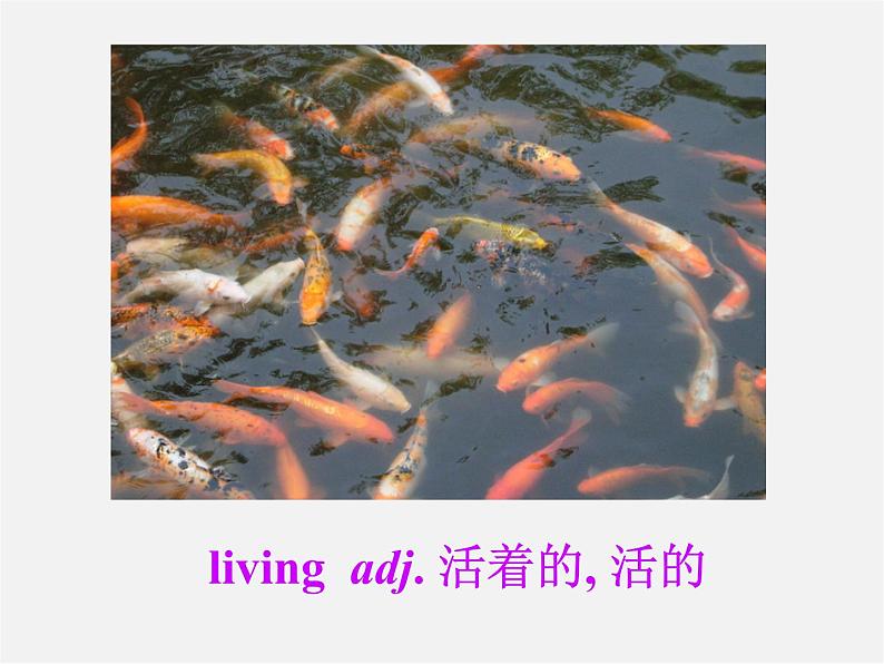 江苏省盐城市永丰初级中学八年级英语下册 Unit 8 A green world Grammar课件06