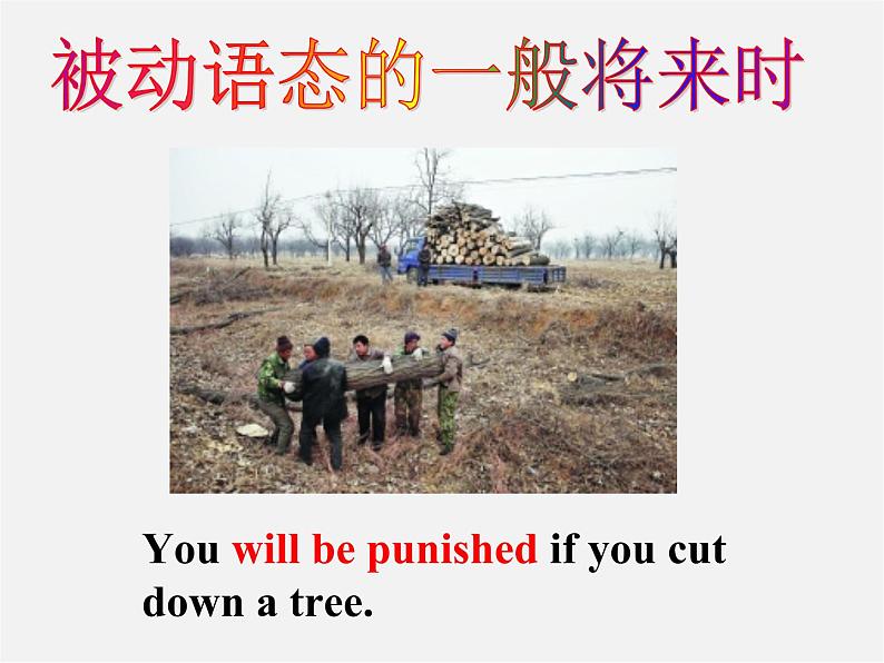 江苏省盐城市永丰初级中学八年级英语下册 Unit 8 A green world Grammar课件07