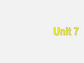 江苏省永丰初级中学八年级英语下册 Unit 7 International Charities grammar课件2
