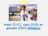 江苏省东海县横沟中学八年级英语下册 Unit 7 International Charities Reading 1课件