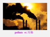 江蘇省永豐初級中學(xué)八年級英語下冊 Unit 8 A green world Grammar課件2