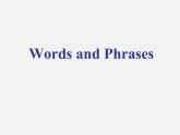 江蘇省永豐初級(jí)中學(xué)八年級(jí)英語(yǔ)下冊(cè)《Unit 7 International charities Reading 2》課件