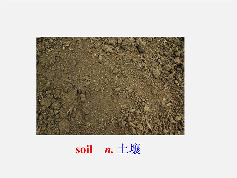 江苏省溧水县孔镇中学八年级英语下册 Unit 8 A green world Study skills课件07