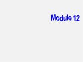 广东省惠东县惠东中学九年级英语上册 Module 12 Unit 3 Language in use教学课件