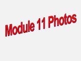 广东省惠东县惠东中学九年级英语上册 Module 11 Unit 1 He’s the boy who won the photo competition last year!教学课件