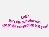 广东省惠东县惠东中学九年级英语上册 Module 11 Unit 1 He’s the boy who won the photo competition last year!教学课件