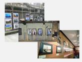 广东省惠东县惠东中学九年级英语上册 Module 11 Unit 1 He’s the boy who won the photo competition last year!教学课件