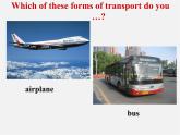 九年级英语下册 Module 1 Unit 1 We toured the city by bus and by taxi课件2