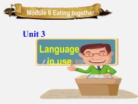 初中英语外研版 (新标准)九年级下册Unit 3 Language in use图文课件ppt