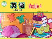 Module 4 Unit 1课件2021-2022学年外研版英语七年级上册