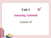 冀教版英语八年级下册  Unit 3Animals Are Our Friends  lesson 14【课件+教案+音频】