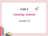 冀教版八年级下册Lesson 14 Amazing Animals多媒体教学课件ppt