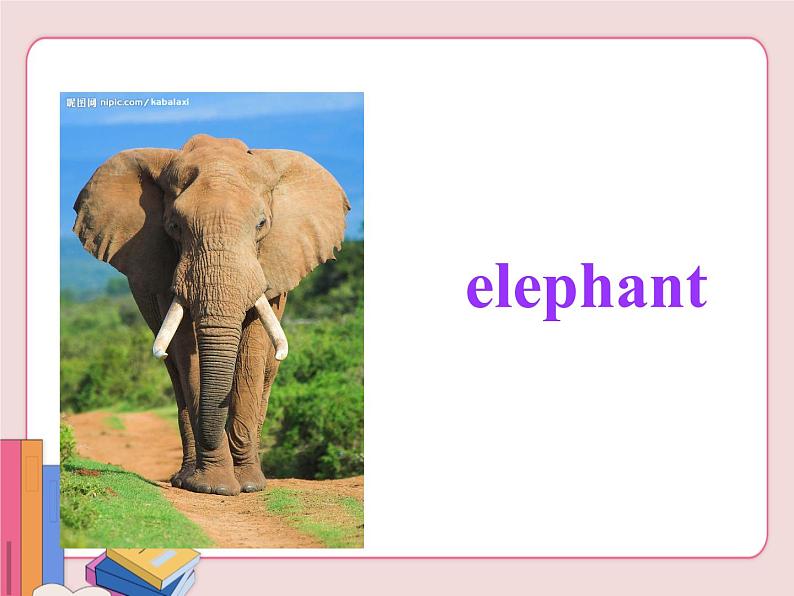 冀教版英语八年级下册  Unit 3Animals Are Our Friends  lesson 15【课件+教案+音频】05