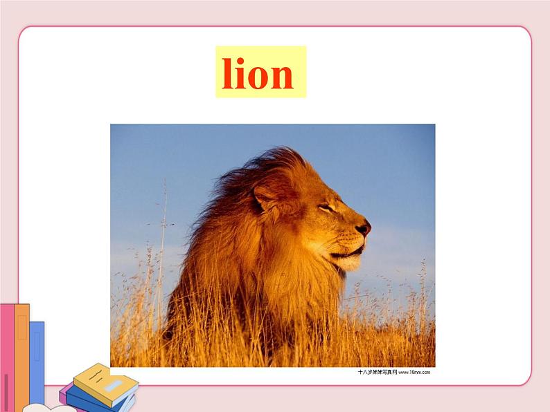 冀教版英语八年级下册  Unit 3Animals Are Our Friends  lesson 15【课件+教案+音频】06