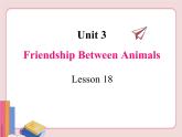 冀教版英语八年级下册  Unit 3Animals Are Our Friends  lesson 18【课件+教案+音频】