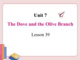 冀教版英語(yǔ)九年級(jí)下冊(cè)  Unit 7  Lesson 39【課件+音頻+視頻】