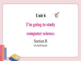 人教版英语八年级上册 Unit 6  Section B (3a-Self check)【课件】