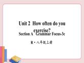 人教版英语八年级上册 Unit 2  第2课时（Section A Grammar Focus-3c）【课件+音频】