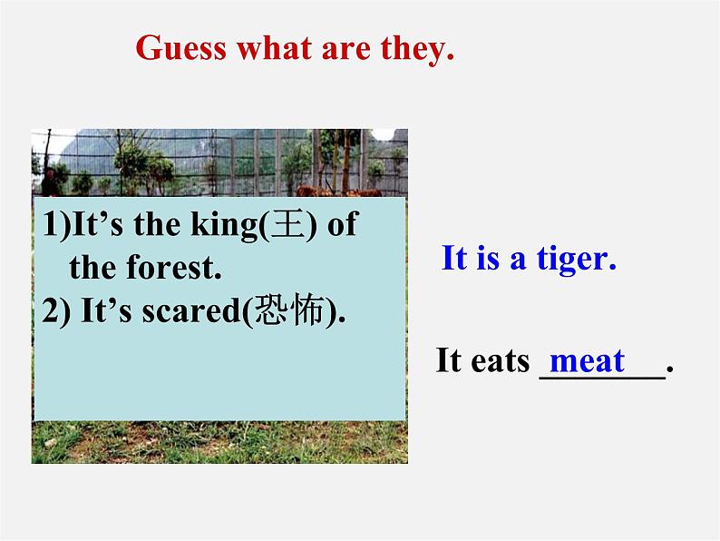 广东省佛山市第十四中学七年级英语上册 Module 6 A trip to the zoo Unit 1 Does it eat meat课件 （新版）外研版第2页