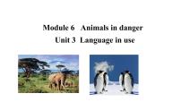 外研版 (新标准)八年级上册Module 6  Animals in danger.Unit 3 Language in use .图文课件ppt