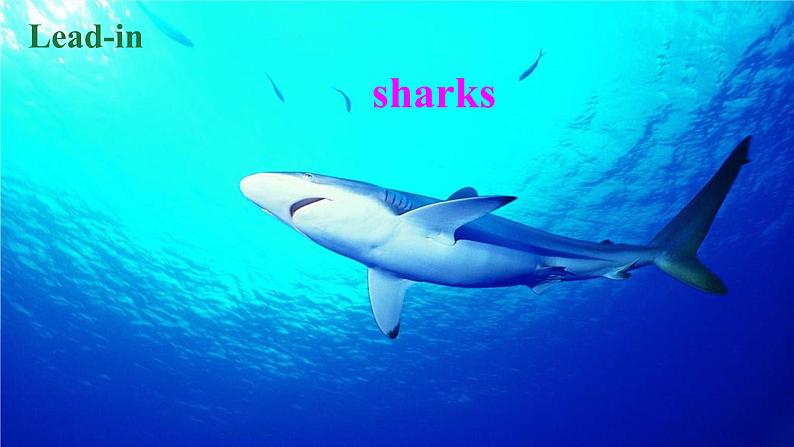 第2课时(A 3a-4c)第6页